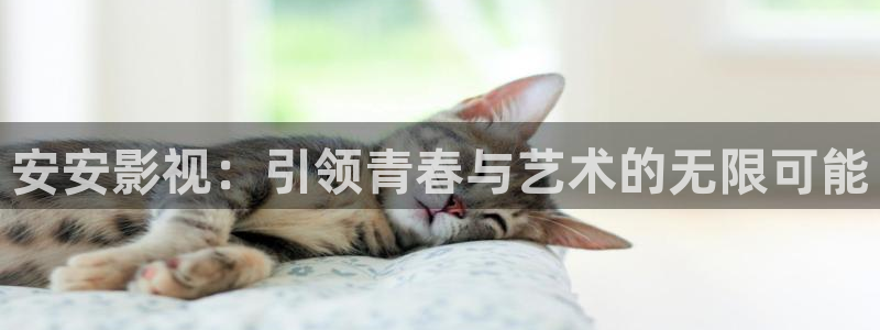 色戒在线观看神马影院
