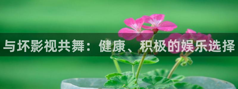 神马影院神马我不卡